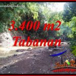 JUAL Tanah di Tabanan Bali Untuk Investasi TJTB412