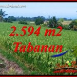 JUAL Tanah di Tabanan Bali Untuk Investasi TJTB414