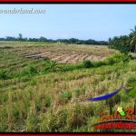 JUAL Tanah di Tabanan Bali Untuk Investasi TJTB414