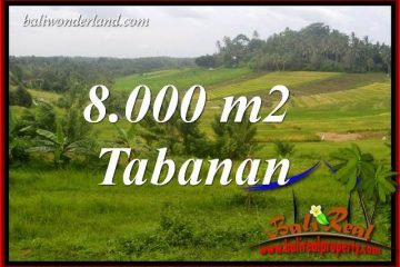 Tanah Dijual di Tabanan 80 Are di Tabanan Selemadeg