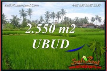 Investasi Properti, Tanah Murah Dijual di Ubud Bali TJUB700