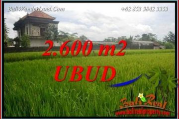 Investasi Properti, Dijual Murah Tanah di Ubud Bali TJUB701