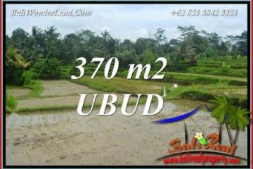 JUAL Tanah di Ubud Bali 4 Are View sawah