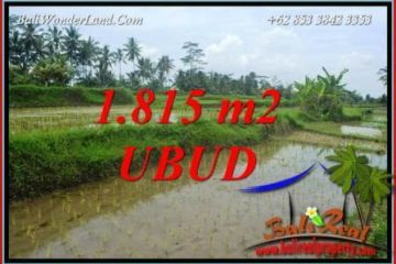 Investasi Properti, Dijual Murah Tanah di Ubud Bali TJUB703