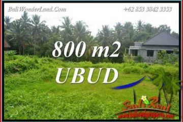 JUAL Tanah Murah di Ubud TJUB706