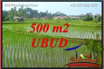 Tanah di Ubud Dijual Murah 500 m2 di Sentral Ubud