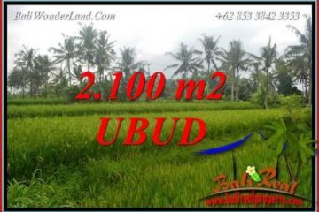 Investasi Properti, Tanah Murah Dijual di Ubud TJUB710