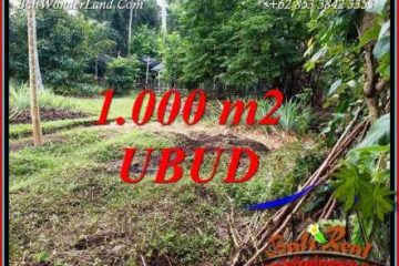 Investasi Property, jual Tanah di Ubud TJUB712