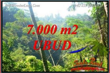 Investasi Property, Tanah Murah di Ubud Bali Dijual TJUB714