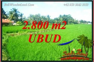 Tanah di Ubud Bali Dijual 28 Are View Sawah Lingkungan Villa