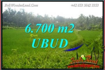 JUAL Murah Tanah di Ubud 67 Are View sawah lingk. villa