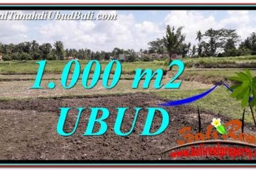 JUAL TANAH di UBUD 1,000 m2 View Sawah