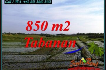 JUAL TANAH DI TABANAN BALI TJTB494