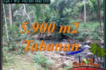 JUAL TANAH DI TABANAN 5,900 m2 VIEW SUNGAI