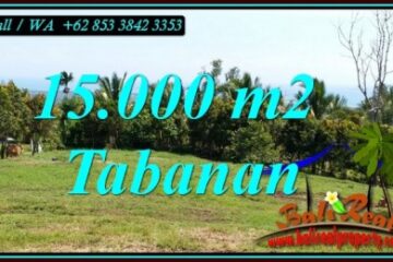 TANAH MURAH di TABANAN BALI DIJUAL 15,000 m2 SAWAH, GUNUNG DAN LAUT