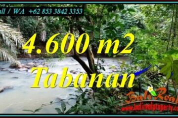 DIJUAL MURAH TANAH di TABANAN BALI 46 Are di MEGATI