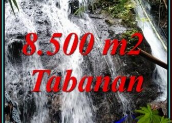 INVESTASI PROPERTY, TANAH di TABANAN BALI DIJUAL MURAH TJTB478