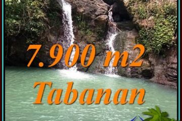 TANAH MURAH di TABANAN BALI DIJUAL 79 Are SUNGAI DAN AIR TERJUN