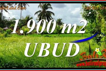 INVESTASI PROPERTI, DIJUAL TANAH DI UBUD TJUB811