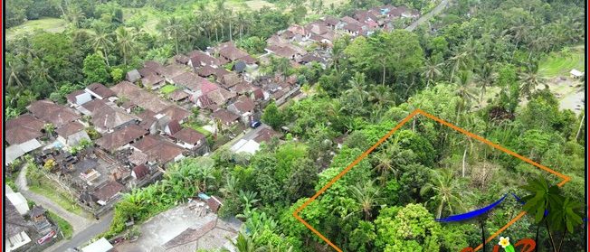 JUAL TANAH DI TABANAN 15 Are View sawah dan kebun