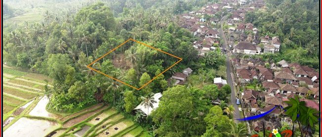 JUAL TANAH DI TABANAN 15 Are View sawah dan kebun