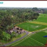 DIJUAL MURAH TANAH di TABANAN BALI Untuk INVESTASI TJTB590