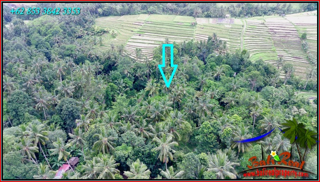 JUAL TANAH MURAH di TABANAN BALI 2,400 m2  View sawah pinggir Sungai