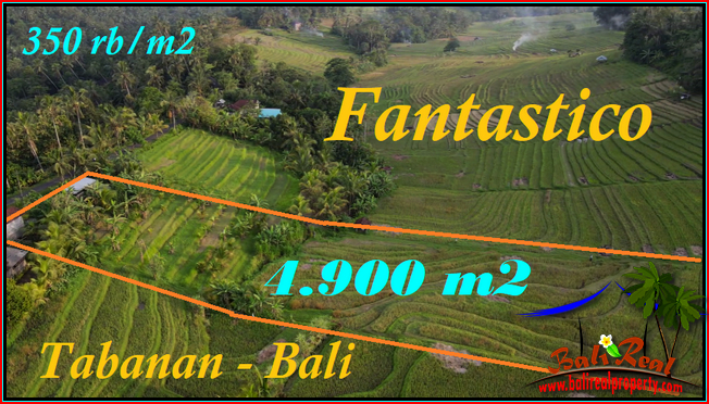 INVESTASI PROPERTY, JUAL TANAH DI TABANAN BALI TJTB571