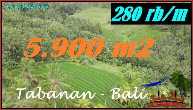 DIJUAL MURAH TANAH di TABANAN BALI TJTB572