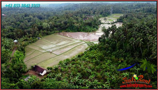 JUAL TANAH MURAH di TABANAN BALI 12,000 m2  View Sawah dan Gunung