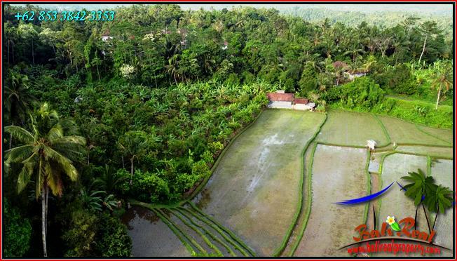 JUAL TANAH MURAH di TABANAN BALI 12,000 m2  View Sawah dan Gunung