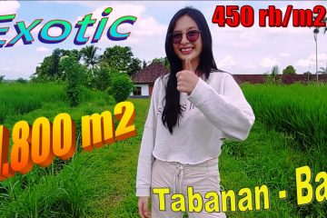 TANAH JUAL MURAH TABANAN 1,800 m2 View sawah, gunung dan laut