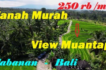 JUAL TANAH MURAH di TABANAN 4.800 m2 View Sawah dan Gunung