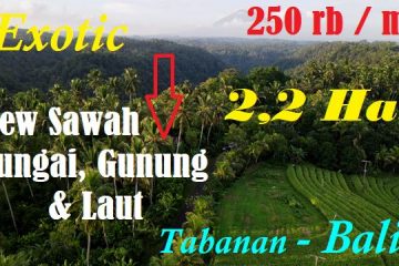 TANAH DIJUAL MURAH di TABANAN TJTB606