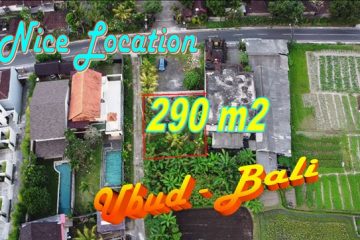 TANAH di UBUD BALI DIJUAL MURAH 3 Are View sawah lingkungan Villa