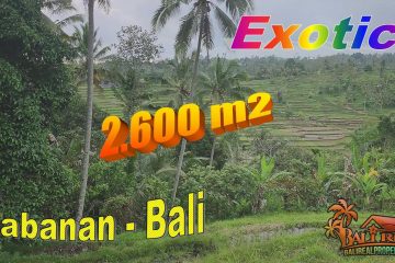 JUAL TANAH DI TABANAN 2,600 m2 View Sawah, gunung dan hutan