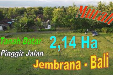 TANAH di JEMBRANA JUAL MURAH 21.400 m2 Kebun Datar Pinggir Jalan