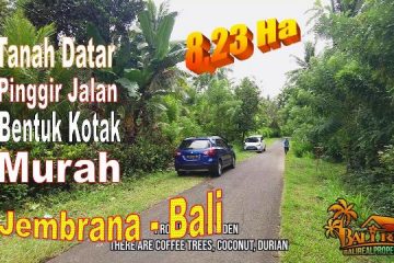 INVESTASI PROPERTY, TANAH di JEMBRANA BALI DIJUAL MURAH TJB2013N