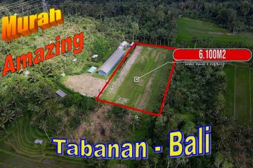 INVESTASI PROPERTY, JUAL TANAH DI TABANAN TJTB725