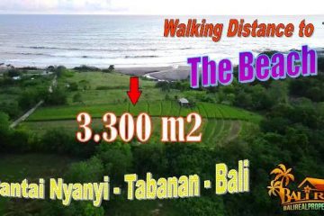 JUAL TANAH DI TABANAN 3,300 m2 View Sawah dan Gunung