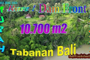 TANAH DIJUAL di TABANAN BALI 107 Are View Bendungan Telaga Tunjung, Hutan, Gunung dan Sungai