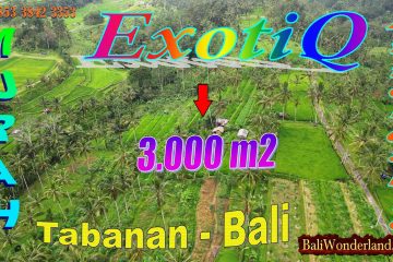 JUAL TANAH MURAH di TABANAN BALI 3,000 m2 di Baturiti Tabanan