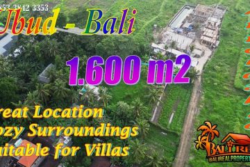 Strategis untuk Villa Tanah dijual Murah dekat Sentral Ubud Gianyar Bali TJUB883