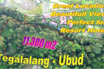 Cocok Untuk Villa atau Resort Hotel, Tanah dijual di Tegalalang Ubud - TJUB884