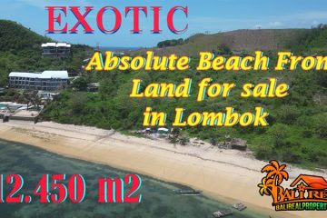 Exotic Beach Front ! Tanah dijual di Pantai Gerupuk Lombok Affordable Property for sale - TJL2040