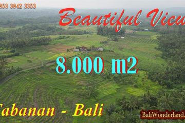 JUAL TANAH DI TABANAN 8,000 m2 View Sawah dan Gunung, Pinggir Jalan