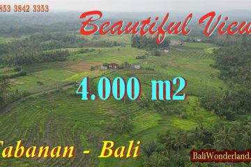 JUAL TANAH DI TABANAN BALI 4,000 m2 View Sawah dan Gunung, Pinggir Jalan