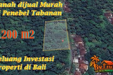 TANAH di TABANAN BALI DIJUAL MURAH TJTB781