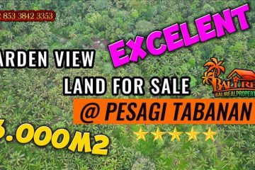 DIJUAL MURAH TANAH di TABANAN BALI 3,000 m2 di Penebel Tabanan