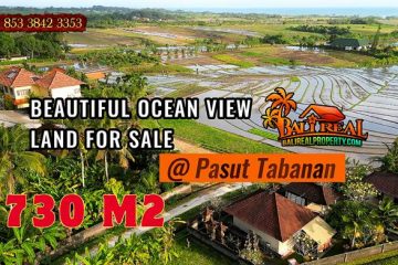 TANAH MURAH di TABANAN BALI DIJUAL TJTB825